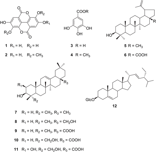 Figure 1.  Structures of compounds 1-12 isolated from MeOH extract of Klainedoxa gabonensis.