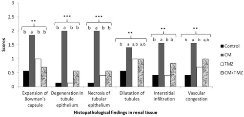 Figure 2. Histopathological findings in renal tissue. Expansion of Bowman’s capsule, tubule epithelium degeneration, tubule epithelium necrosis, tubule dilatation, interstitial infiltration and vascular congestion scores for each group. a and b: Each letter indicates statistically significant differences in the same row. **p < 0.01, ***p < 0.001.