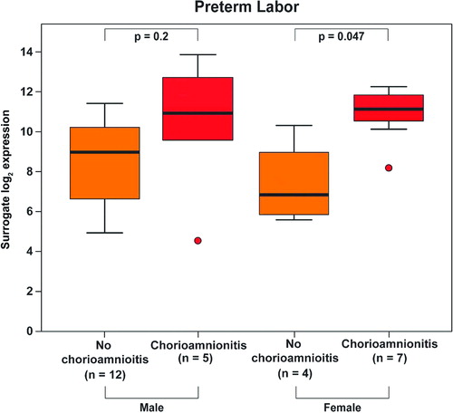 Figure 6.  Among patients with spontaneous preterm labor, those who delivered a female neonate had a higher increase (12-fold, p = 0.047) in Mn SOD mRNA expression upon chorioamnionitis than those who delivered a male neonate (3.5-fold, p = 0.2).