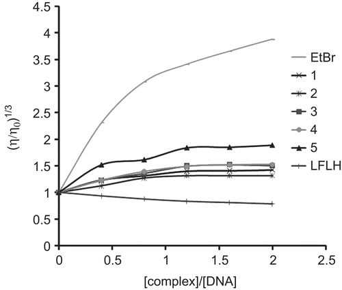 Figure 4.  Effect of increasing amount of ethidium bromide (EtBr), levofloxacin (LFLH) and complexes on the relative viscosity of Herring Sperm DNA at 27 ± 0.1°C.