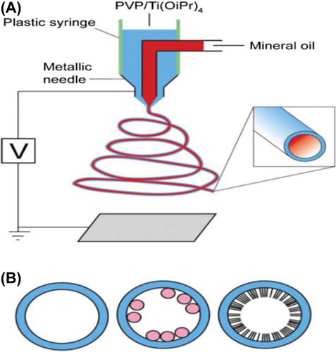 Figure 4. Schematic for fabrication of core-shell nanofibers with a coaxial spinneret. (A) the coaxial spinneret (B) different type of nanofiber which can produced by coaxial electrospinning.