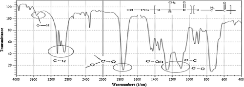 Figure 3. FTIR spectra of the PLGA-PEG diblock copolymers. A strong band at 1762.6 cm−1 is assigned to C=O stretch in lactide and glycolide structure and an absorption band at 3509.9 cm−1 is assigned to terminal hydroxyl groups.