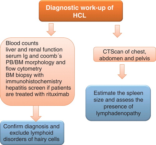 Figure 2. Diagnostic work up of a patient with HCL.