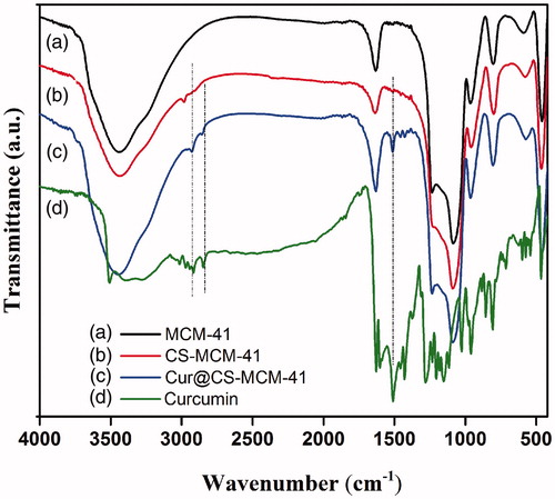 Figure 3. FT-IR spectra of KBr pellets of the MCM-41, CS-MCM-41, Cur@CS-MCM-41 nanocarrier and free curcumin.