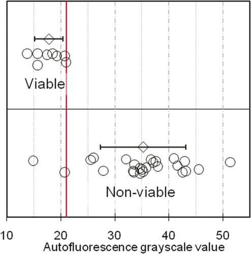 Figure 4. Distribution of autofluorescence grayscale values of viable (n = 5 VX2 v samples and n = 3 non-ablated pig skin samples) and non-viable (heat-killed, n = 25 VX2 carcinoma samples) tissue sections. Open circles denote tissue-section fluorescence intensities, determined as the average grayscale value of single cells in five pre-determined locations in the tissue section; grey diamonds (error bars) denote the sample averages (standard deviations) of fluorescence intensities of the viable and non-viable sections. The vertical line denotes an integer-valued grayscale threshold chosen from the optimal range of thresholds identified by ROC analysis (Fig 3 legend). 23 out of 25 non-viable samples lie above the threshold (92% sensitivity), while all 8 viable samples lie below the threshold (100% specificity).