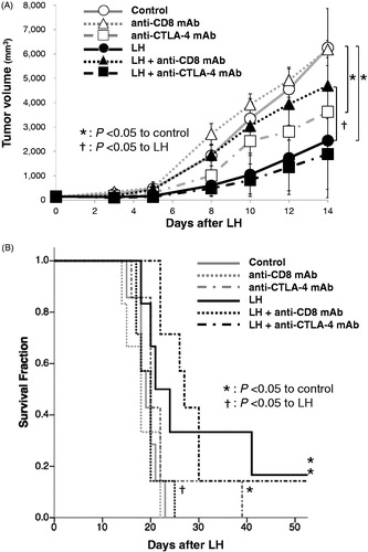 Figure 4. CD8 depletion reduced the therapeutic efficacy of LH on TG and survival in EG.7-OVA-bearing C57BL/6 mice, and the addition of anti-CTLA-4 mAb to LH did not amplify the therapeutic efficacy of LH. (A) TG curves of EG.7-OVA tumors in the control group (open circles; ^), LH-treated group (closed circles; •), anti-CD8 mAb-treated control group (open triangles; △), LH with anti-CD8 mAb-treated group (closed triangles; ▲), anti-CTLA-4 mAb-treated control group (open squares; □), and LH with anti-CTLA-4 mAb-treated group (closed squares; ▪). Data are shown as the mean tumor volume ± SE of seven mice per group. *p < .05 between control and anti-CTLA-4 mAb-treated group, and control and LH-treated group. †p < .05 between LH group and LH with anti-CD8 mAb-treated groups. (B) Survival curves of E.G7-OVA-bearing C57BL/6J mice in the control group (gray solid line), LH-treated group (black solid line), anti-CD8 mAb-treated control group (gray dotted line), LH with anti-CD8 mAb-treated group (black dotted line), anti-CTLA-4 mAb-treated control group (gray dashed line), and LH with anti-CTLA-4 mAb-treated group (black dashed line). (n = 7 per group) *p < .05 for control, and †p < .05 for the LH-treated group.