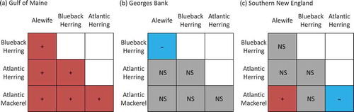 FIGURE 5. Raster diagrams illustrating the effects of bottom temperature on overlap observed during the Northeast Fisheries Science Center’s fall bottom trawl survey in (a) the Gulf of Maine, (b) Georges Bank, and (c) southern New England (red, + = positive effect; blue, – = negative effect; gray, NS = no significant effect). (Negligible overlap was observed in the Mid-Atlantic Bight.)