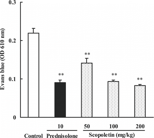 Figure 4.  Effects of scopoletin and prednisolone on croton oil-induced ear vascular permeability in mice. Values were means ± SEM of 8 mice. Statistically significant difference with respect to control was expressed as **P < 0.01.