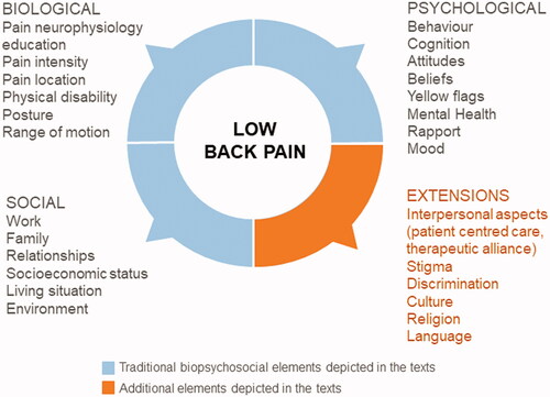 Figure 1. Visual representation of the biological, psychological, social, and extended aspects of low back pain care presented by the selected articles in this critical review.