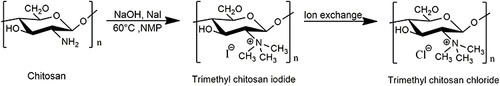 Figure 4 Synthesis of N,N,N-trimethyl chitosan.