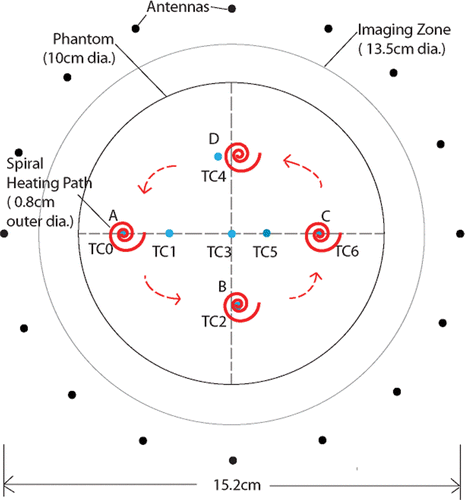 Figure 8. Schematic diagram of the US beam steering sequence for the four sequential spiral scan experiment.