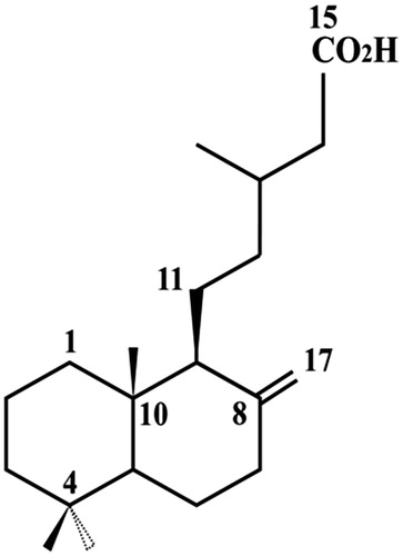 Figure 1. Chemical structure of labd-8(17)-en-15-oic acid.