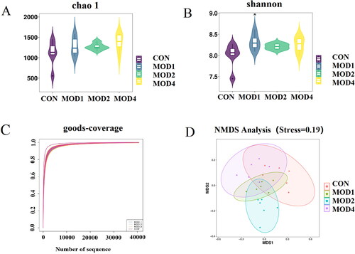 Figure 6. Analysis of diversity of intestinal microbiota in PF. (A) Chao1 indicator, (B) Shannon indicator, (C) Good’s coverage indicator, (D) NMDS analysis of the CON, MOD1, 2, 4 groups (n = 6) *p < 0.05 vs. CON group.