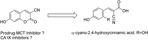 Scheme 2.  Rationale for investigating 3-cyano-7-hydroxy-coumarin 2 as a dual CA/MCT inhibitor. The coumarin 2 may be hydrolyzed through the CA esterase activity to a derivative of α-cyano-4-hydroxycinnamic acid (3, R=H), a known MCT inhibitorCitation5,Citation18.
