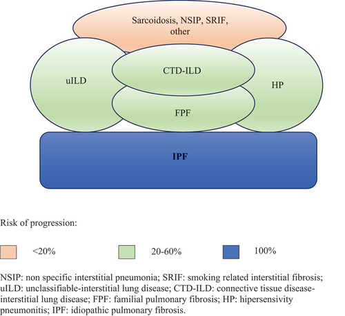 Figure 1. Fibrotic ILDs at risk of progression. IPF is the paradigm of fibrotic progression, sooner or later these patients progress. Non-IPF fibrotic ILD involves many ILDs with variable fibrotic component that are at risk of progression depending on different factors, including the type of ILD.