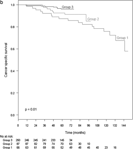 Figure 3b.  Cancer specific survival in patients receiving both EBRT and HT, stratified by radiation.