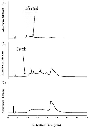 Figure 3. The high performance of liquid chromatograms (HPLC) of condensed tannin containing fraction’s separated fractions. (A) Phenolic acids containing monomeric fraction. (B) Catechin, oligomeric condensed tannin containing fraction. (C) Polymeric condensed tannin containing fraction. The mobile phase consisted of 2.5% (v/v) aqueous acetic acid solution (solvent A) and acetonitrile (solvent B). The gradient program consisted of 3% B, initially, changing to 21% B after 4 min, was maintained at 21% B until 10 min and raised to 22% B after 11 min, was maintained at 22% B until 15 min and raised to 35% B after 16 min, was maintained at 35% B until 35 min and raised to 100% B after 36 min, and was maintained at 100% B until 40 min and then reduced to 3% B after 45 min. The injection volume of all the samples was 20 μL. Simultaneous monitoring was performed at 280 nm, and the flow rate was 0.8 mL/min.