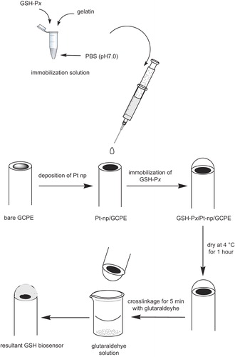 Figure 1. Schematic representation of the fabrication of a GSH biosensor.