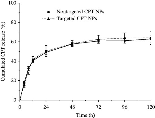 Figure 2. In vitro release profile of CPT from NPs in phosphate buffer solutions.