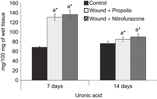 Figure 4.  Effect of Indian propolis on the level of uronic acid in excision wound model. Values are mean ± SEM; n = 6 in each group. *Significant at p < 0.05 as compared with the control group of rats.