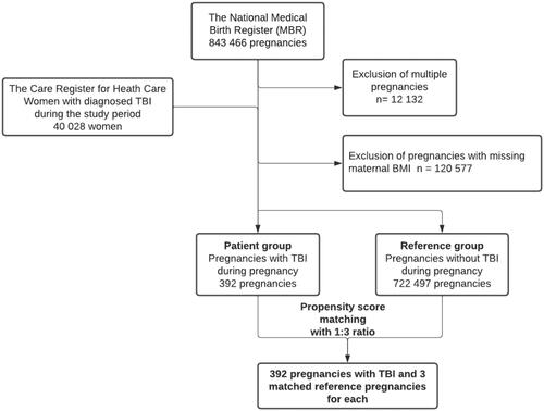 Figure 1. Flowchart of the study population. Data from the MBR were combined with data on the diagnosed TBI in the Care Register for Health Care. Multiple pregnancies and pregnancies with missing body mass index (BMI) were excluded from the analysis.