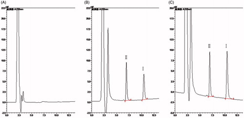 Figure 6. Representative chromatograms of blank plasma (A), plasma sample spiked with TP and IS (B) and plasma sample collected at 5 min after a single i.v. administration of TP at the dose of 1.25 mg/kg (C). Peak I: TP, peak II: IS.