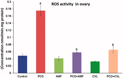 Figure 5. Comparative assessment of ROS in ovary in control and experimental groups of rats. aA significant difference between control and other treated groups at p < 0.05 level. bA significant difference among PCO−, PCO + ANP−, and PCO + CVL-treated groups at p < 0.05 level. CVL, carvedilol; ANP, ANGIPARS™; PCO, polycystic ovary; ROS, reactive oxygen species.