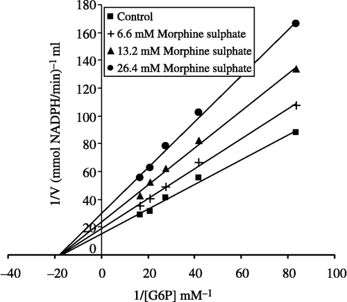 Figure 8 Lineweaver–Burk graphs for G-6PD in presence of three constant morphine sulphate concentrations and five different substrate concentrations.