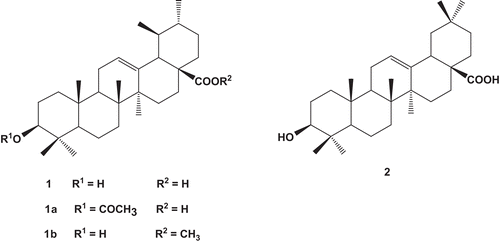 Figure 1.  Chemical structures of ursolic acid (1), oleanolic acid (2), and ursolic acid derivatives (1a and 1b).