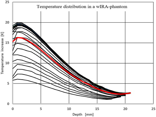 Figure 14. Vertical temperature profiles distributed across the entire cross-section with averaged depth temperature curve (bold). Standard distance between radiator and phantom surface: 33 cm, heating time: 6 min.
