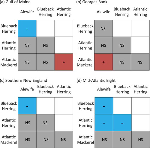 FIGURE 7. Raster diagrams illustrating the effects of bottom temperature on overlap observed during the Northeast Fisheries Science Center’s spring bottom trawl survey in (a) the Gulf of Maine, (b) Georges Bank, (c) southern New England, and (d) the Mid-Atlantic Bight (red, + = positive effect; blue, – = negative effect; gray, NS = no significant effect).