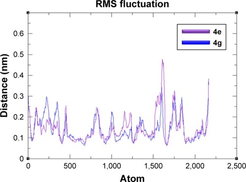 Figure 8 RMSF graphs of 4e and 4g docked complexes are shown in purple and blue respectively from 0–10,000 ps time scale.