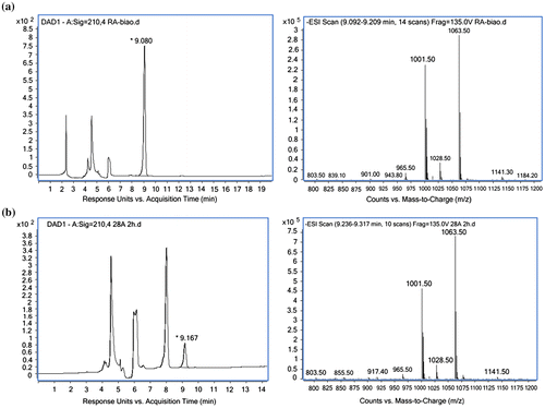 Fig. 4. HPLC-MS analysis of rebaudioside A standard (a) and the sample prepared for the glucosyltransferase activity assay (b).