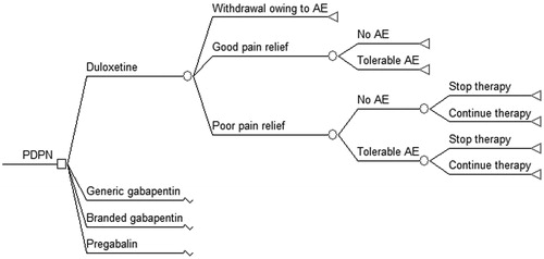 Figure 1.  Structure of the model. PDPN: Painful diabetic peripheral neuropathy; AE: Adverse events. For simplicity, only branches for duloxetine are presented. All other strategies follow an identical pathway.