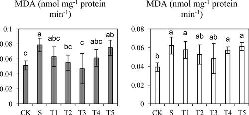 Figure 2. Effects of salt (S) and Salt + SNP treatment (T) on Malondialdehyde (MDA) Concentration in two wild barley cultivars. The gray bars indicate Saertu wild barley variety, and the white bars indicate the wild-type barley variety. Bars showed as mean values ± SD (n = 3). CK, non-treated control; T1–T5, see Table 1. Same lowercase letters indicate non-significant differences.