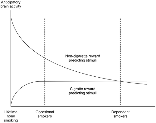 Figure 2. Hypothetical anticipatory brain activity curve in the course of development of addiction, according to the Paradise Lost theory.
