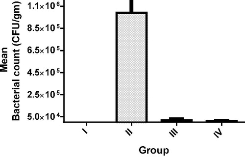 Figure 7. Mean bacterial count of rat groups (n = 6, error bars represent S.D. values).