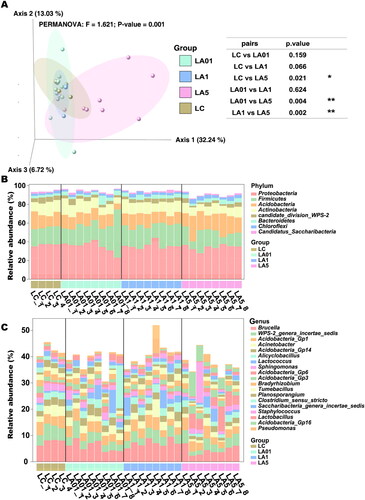 Figure 2. Lung microbiome composition in rats of different groups. (A) The microbiome composition of Lung tissue clusters by different concentrations of ampicillin together by principal component analysis of the ASVs using weighted Unifrac distances. The resulting p values and significance keys are tabulated. Individual data points represent specimens grouped by sample or control type. The top 1% relative abundance of detected phyla (B) and genera (C) in all groups. The y-axis denotes relative abundance (%). *p ≤ 0.05; **p ≤ 0.01.