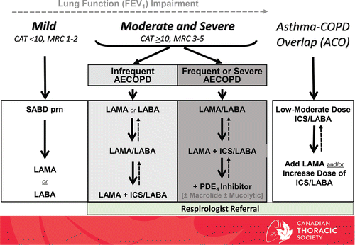 Figure 2. COPD Pharmacotherapy. Suggested COPD pharmacotherapy promoting an approach that matches treatment decisions with symptom burden and risk of future exacerbations. Solid arrows indicate step up therapy to optimally manage symptoms of dyspnea and/or activity limitation, as well as the prevention of AECOPD where appropriate. Dashed arrows indicate potential step down of therapy, with caution, and with close monitoring of the patient symptoms, exacerbations and lung function. Frequent AECOPD is ≥2 events requiring antibiotics ± systemic corticosteroids over 2 years; or ≥1 Severe AECOPD requiring hospitalization. As-needed (prn) use of short-acting bronchodilator should accompany all recommended therapies. CAT = COPD assessment test; MRC = Medical Research Council; SABD prn = short-acting bronchodilator as needed; AECOPD = acute exacerbation of COPD; LAMA = long-acting muscarinic antagonist; LABA = long-acting B2-agonists; ICS = inhaled corticosteroid; PDE4 = phosphodiesterase-4.