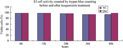 Figure 2. EJ cell activity counted by trypan blue counting before and after isoquercetin treatment.