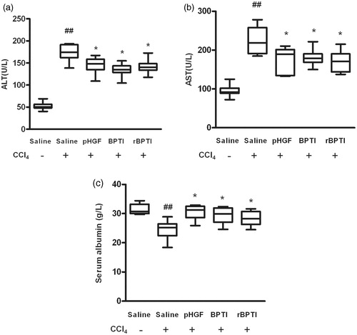 Figure 2. Effect of rBPTI on activities of serum ALT and AST and albumin in rats. ALT, alanine aminotransferase; AST, aspartate aminotransferase; see Figure 1 for the treatment. Data are shown as mean ± SD (n = 10). ##p < 0.01 compared with saline group (group 1). *p < 0.05 compared with saline/CCl4 group (group 2).