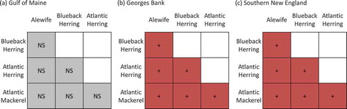 FIGURE 4. Raster diagrams illustrating the effects of species abundances on overlap observed during the Northeast Fisheries Science Center’s fall bottom trawl survey in (a) the Gulf of Maine, (b) Georges Bank, and (c) southern New England (red, + = positive effect; blue, – = negative effect; gray, NS = no significant effect). (No abundance effects were observed in the Gulf of Maine; negligible overlap was observed in the Mid-Atlantic Bight.)