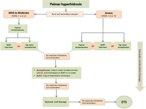 Figure 1 Schematic diagram showing a treatment algorithm for PH.
