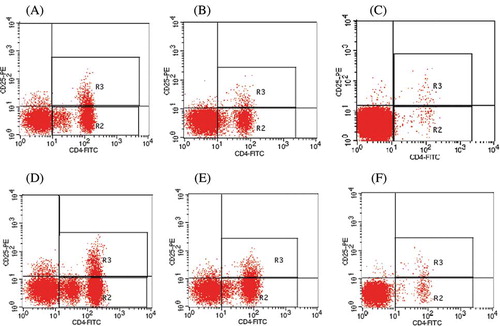 Figure 1.  Frequency of the Treg and Th17 cells among groups. The representative photographs of flow cytometry analysis of Treg and Th17 cell surface expression and intracellular staining are without and with rhBP-2 from MHD group1 (A and D, respectively), MHD group2 (B and E, respectively), and normal control group (C and F, respectively).