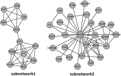 Figure 3. Subnetwork 1 was obtained by MCODE while subnetwork 2 was established based on the first nodes of hub proteins. The nodes stand for DEGs and the lines stand for the interactions between two proteins. (A) Subnetwork 1; (B) Subnetwork 2.