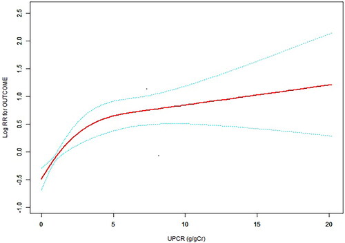 Figure 2. A nonlinear relationship was observed between UPCR levels and the incidence of the primary outcome. The red line denotes fitted curves, and the blue line represents 95% confidence intervals for the association between UPCR and the primary outcome. Adjusted for sex, age, BMI, eGFR, hypertension, diabetes, the prevalence of CVD, and the use of RAASi.