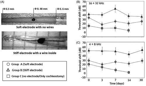 Figure 8. Soft and stiff electrodes fabricated by MED-EL for this study (A). Average threshold shifts in dB SPL at the high-frequency band (16 + 32 kHz) (B) and at low-frequency bands (4 + 8 kHz), (C) measured immediately after the surgery (t = 0 days) and at t = 3, 7, 14 and 30 days postoperatively [Citation16]. Statistical analysis: unpaired t-test (p < .05). Reproduced by permission of Wolters Kluwer Health, Inc.