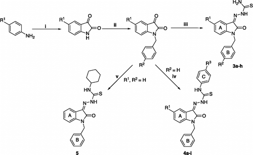 Scheme 1.  The synthetic chemical route employed in obtaining the compounds in series3–5. The reagents used are as follows: i: CCl3CH(OH)2 / H2SO4 / Na2SO4; ii: R2-C6H4CH2Cl / K2CO3 /DMF; iii: H2NNHCSNH2; iv: R3C6H4NHCSNHNH2; v.: C6H11NHCSNHNH2. The nature of the R1, R2 and R3 substituents are presented in Table I.