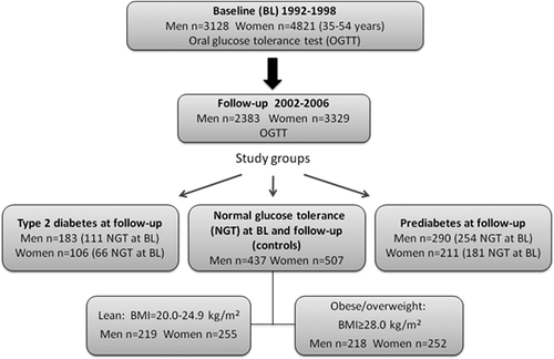 Figure 1. Study groups. The study groups were selected from the population-based Stockholm Diabetes Prevention Program (SDPP). BMI = body mass index kg/m2.