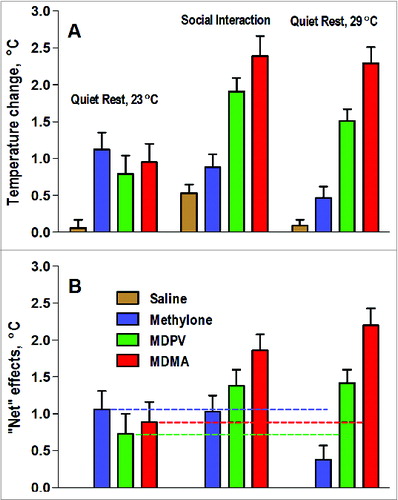 Figure 8. Mean values of brain (NAc) temperature increases (area under curve for 5-hrs post-injection) induced by sc injections of methylone (9 mg/kg), MDPV (1 mg/kg), MDMA (9 mg/kg), and saline in rats under quiet resting conditions, during social interaction, and at warm ambient temperatures. Top graphs (A) show mean (±SEM) temperature changes and bottom graphs (B) show “net” or “pure” drug effects (drug - saline). Horizontal hatched lines in (B) show values induced by each drug under quiet resting conditions.